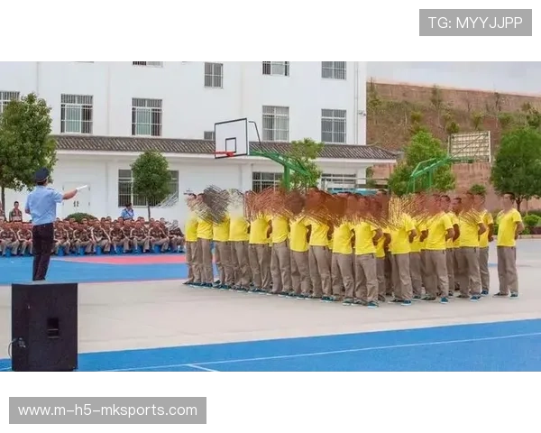 国际体能训练数据合规年度审计结果汇总发布，国际体能比赛